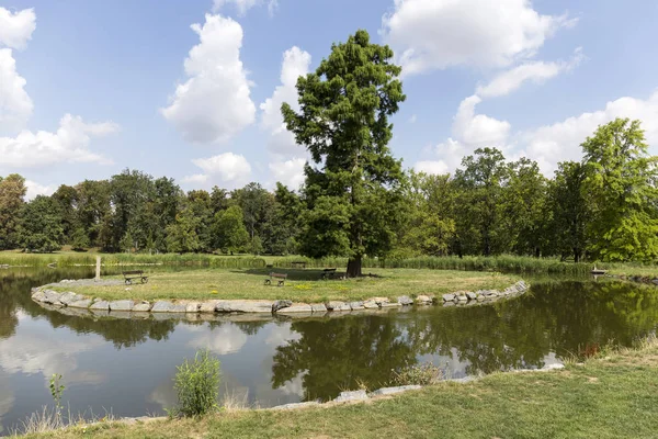 Parque Más Grande Praga Stromovka Árbol Real República Checa — Foto de Stock