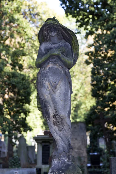 Statua Storica Sul Vecchio Cimitero Praga Repubblica Ceca — Foto Stock