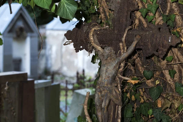 Historische Statue Auf Dem Geheimnisvollen Alten Prager Friedhof Tschechische Republik — Stockfoto