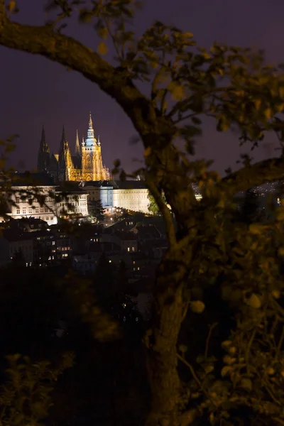 Natt Prague City Med Gotiska Slott Tjeckien — Stockfoto