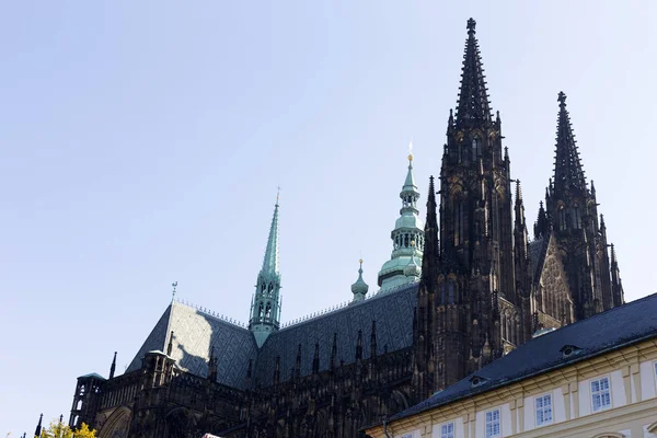 Gotische Kathedrale Vitus Auf Der Prager Burg Sonnigen Tag Tschechische — Stockfoto