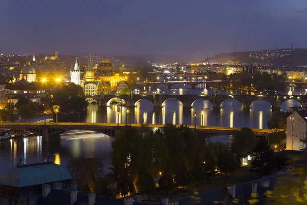 その建物 大聖堂や橋 チェコ共和国と夜プラハ市 — ストック写真