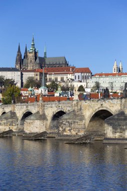 Renkli sonbahar Gotik Prag Kalesi ve Charles Köprüsü ile Strana'da güneşli gün, Çek Cumhuriyeti