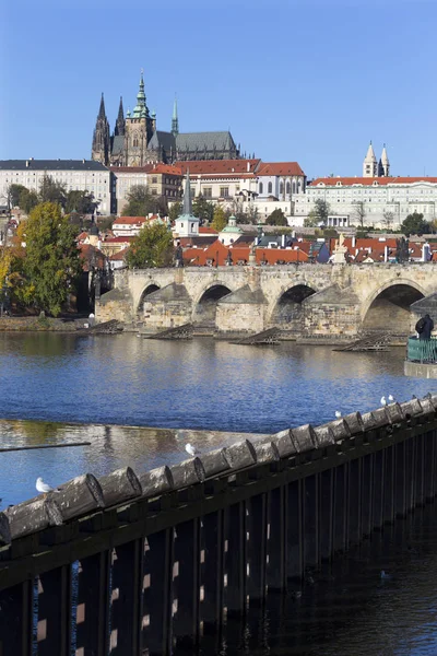 Colorido Otoño Castillo Gótico Praga Puente Carlos Con Ciudad Menor — Foto de Stock