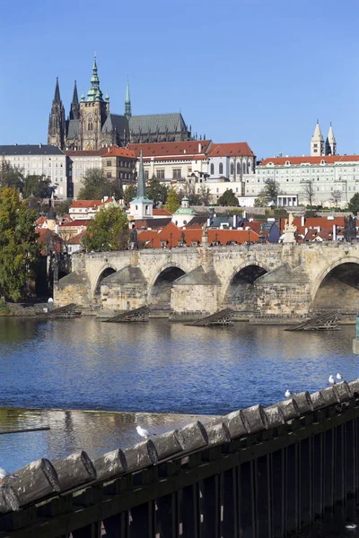 Automne Coloré Château Gothique Prague Pont Charles Avec Petite Ville — Photo