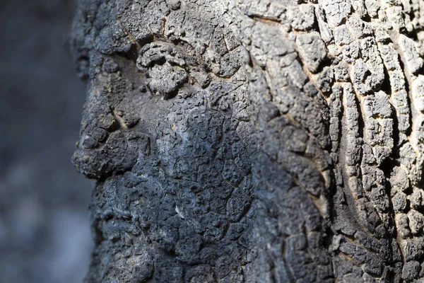 Historische Statue Auf Dem Geheimnisvollen Alten Prager Friedhof Tschechische Republik — Stockfoto