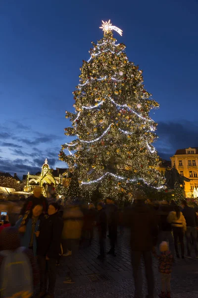 捷克共和国布拉格古城广场夜晚的圣诞树 — 图库照片