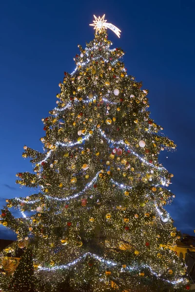 Kerstboom Het Oude Stadsplein Praag Tsjechië — Stockfoto