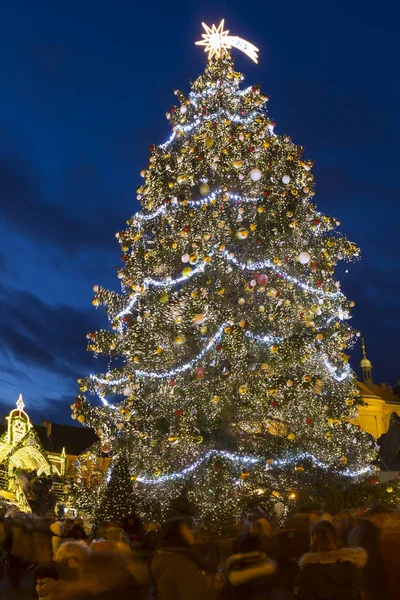 Kerstboom Het Oude Stadsplein Praag Tsjechië — Stockfoto