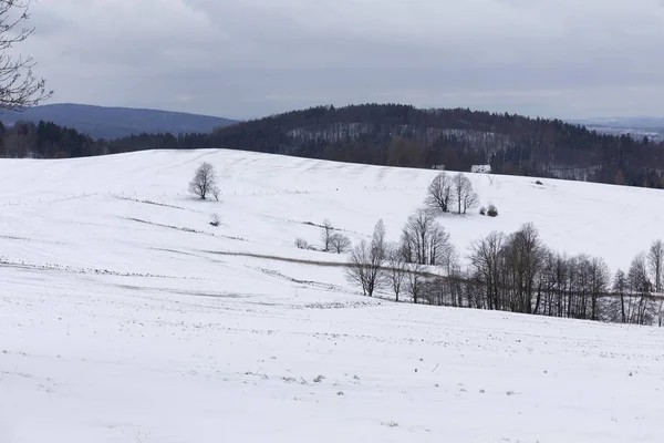 Snowy North Bohemia Landscape Jizerske Mountains Repubblica Ceca — Foto Stock