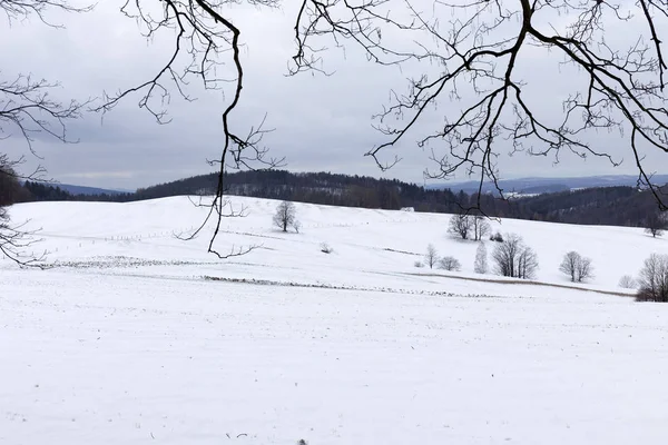 Snowy North Bohemia Landscape Jizerske Mountains Repubblica Ceca — Foto Stock