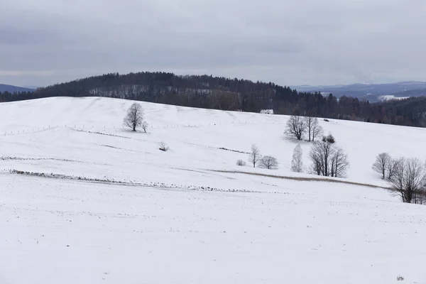 Snöiga Norra Böhmen Landskap Jizerske Berg Tjeckien — Stockfoto