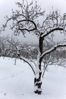 Karlı sisli Prag şehir üzerinden Hill Petrin, Çek Cumhuriyeti