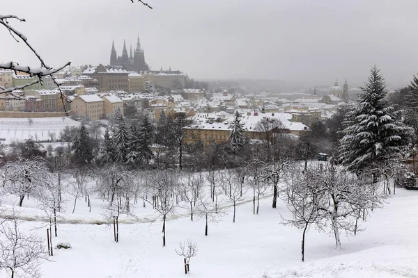 Snowy Mglisty Prague City Gotyckiego Zamku Wzgórze Petrin Republika Czeska — Zdjęcie stockowe