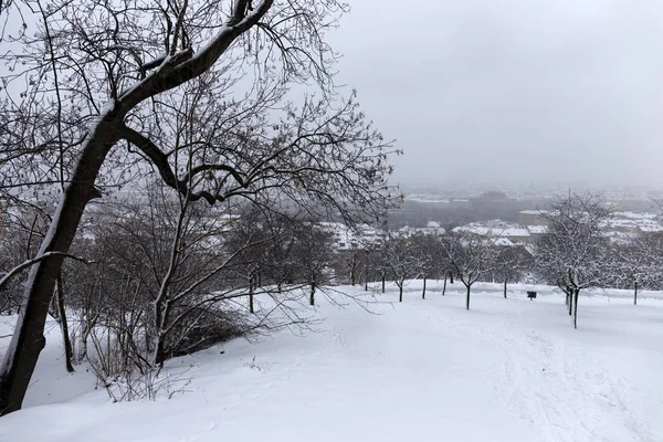 Karlı Sisli Prag Şehir Üzerinden Hill Petrin Çek Cumhuriyeti — Stok fotoğraf