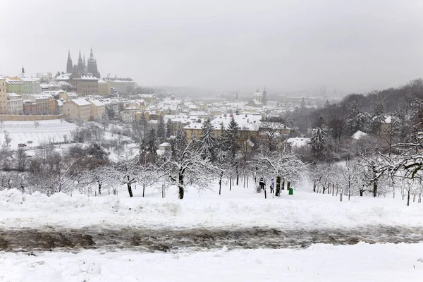 Snowy Mglisty Prague City Gotyckiego Zamku Wzgórze Petrin Republika Czeska — Zdjęcie stockowe