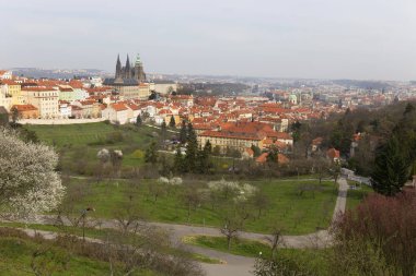 Gotik kale ve yeşil doğa ve çiçekli ağaçlar, Çek Cumhuriyeti ile erken bahar Prag şehri