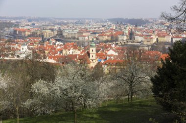 Erken bahar Prag şehir yeşil doğa ve çiçekli ağaçlar, Çek Cumhuriyeti
