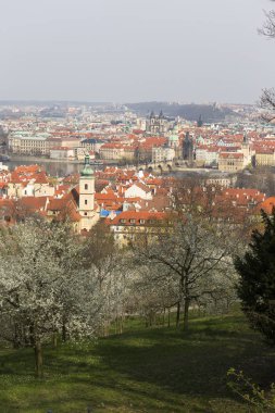 Erken bahar Prag şehir yeşil doğa ve çiçekli ağaçlar, Çek Cumhuriyeti