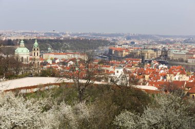 Erken bahar Prag şehir yeşil doğa ve çiçekli ağaçlar, Çek Cumhuriyeti