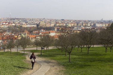 Erken bahar Prag şehir yeşil doğa ve çiçekli ağaçlar, Çek Cumhuriyeti