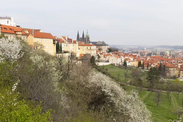 Début Printemps Prague City Avec Château Gothique Nature Verte Des — Photo