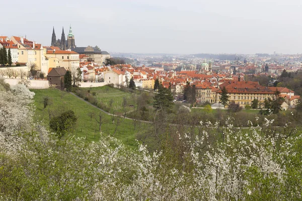 Počátek Jara Praha Město Gotickým Hradem Zelenou Přírodou Kvetoucími Stromy — Stock fotografie