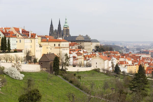 Début Printemps Prague City Avec Château Gothique Nature Verte Des — Photo