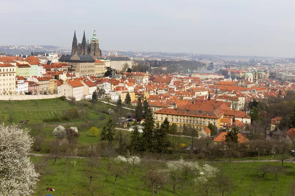 Ранняя Весна Прага Готическим Замком Зеленой Природой Цветущими Деревьями Чехия — стоковое фото
