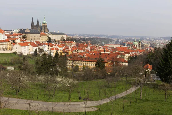 Inizio Primavera Praga Città Con Castello Gotico Verde Natura Alberi — Foto Stock