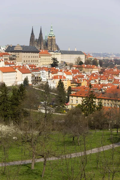 Início Primavera Praga Cidade Com Castelo Gótico Verde Natureza Árvores — Fotografia de Stock