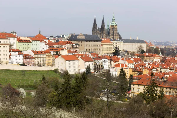 Début Printemps Prague City Avec Château Gothique Nature Verte Des — Photo