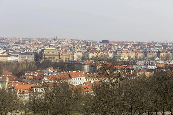 Erken Bahar Prag Şehir Yeşil Doğa Çiçekli Ağaçlar Çek Cumhuriyeti — Stok fotoğraf