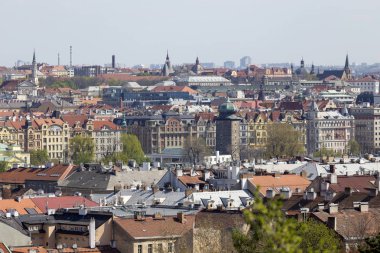 Yeşil Doğa ve çiçekli ağaçlar, Çek Cumhuriyeti ile Bahar Prag Şehir