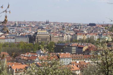 Yeşil Doğa ve çiçekli ağaçlar, Çek Cumhuriyeti ile Bahar Prag Şehir