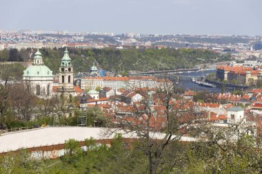 Yeşil Doğa ve çiçekli ağaçlar, Çek Cumhuriyeti ile Bahar Prag Şehir