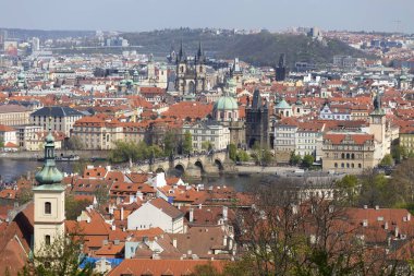 Yeşil Doğa ve çiçekli ağaçlar, Çek Cumhuriyeti ile Bahar Prag Şehir