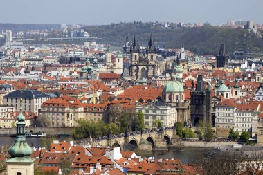 Yeşil Doğa ve çiçekli ağaçlar, Çek Cumhuriyeti ile Bahar Prag Şehir
