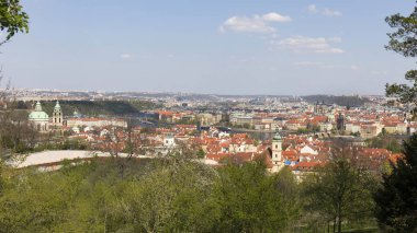 Yeşil Doğa ve çiçekli ağaçlar, Çek Cumhuriyeti ile Bahar Prag Şehir