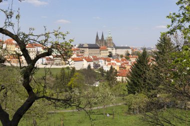 Bahar Prague City ile Gotik Kalesi ve yeşil doğa ve çiçekli ağaçlar, Çek Cumhuriyeti