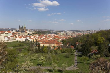 Bahar Prague City ile Gotik Kalesi ve yeşil doğa ve çiçekli ağaçlar, Çek Cumhuriyeti