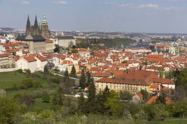 Bahar Prague City ile Gotik Kalesi ve yeşil doğa ve çiçekli ağaçlar, Çek Cumhuriyeti