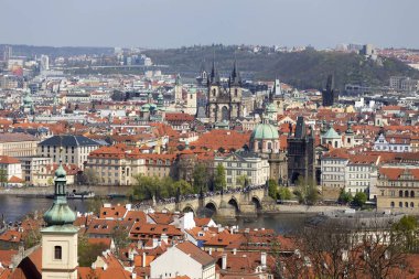 Yeşil Doğa ve çiçekli ağaçlar, Çek Cumhuriyeti ile Bahar Prag Şehir