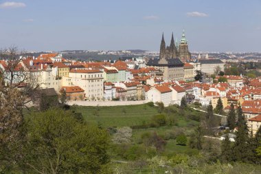 Bahar Prague City ile Gotik Kalesi ve yeşil doğa ve çiçekli ağaçlar, Çek Cumhuriyeti