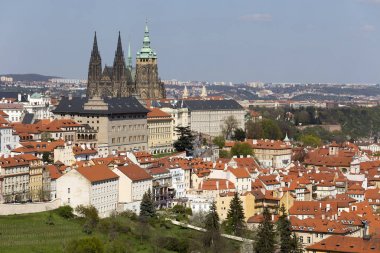 Bahar Prague City ile Gotik Kalesi ve yeşil doğa ve çiçekli ağaçlar, Çek Cumhuriyeti