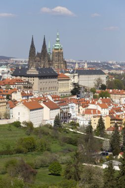 Bahar Prague City ile Gotik Kalesi ve yeşil doğa ve çiçekli ağaçlar, Çek Cumhuriyeti
