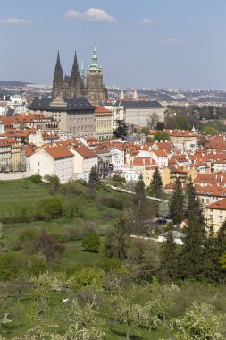 Bahar Prague City ile Gotik Kalesi ve yeşil doğa ve çiçekli ağaçlar, Çek Cumhuriyeti