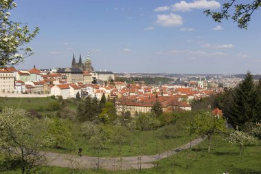 Bahar Prague City ile Gotik Kalesi ve yeşil doğa ve çiçekli ağaçlar, Çek Cumhuriyeti