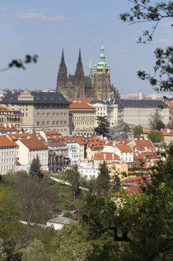 Bahar Prague City ile Gotik Kalesi ve yeşil doğa ve çiçekli ağaçlar, Çek Cumhuriyeti