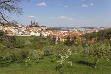 Bahar Prague City ile Gotik Kalesi ve yeşil doğa ve çiçekli ağaçlar, Çek Cumhuriyeti
